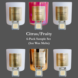 Citrus/Fruity 6-Pack Sample Wax Melt Set
