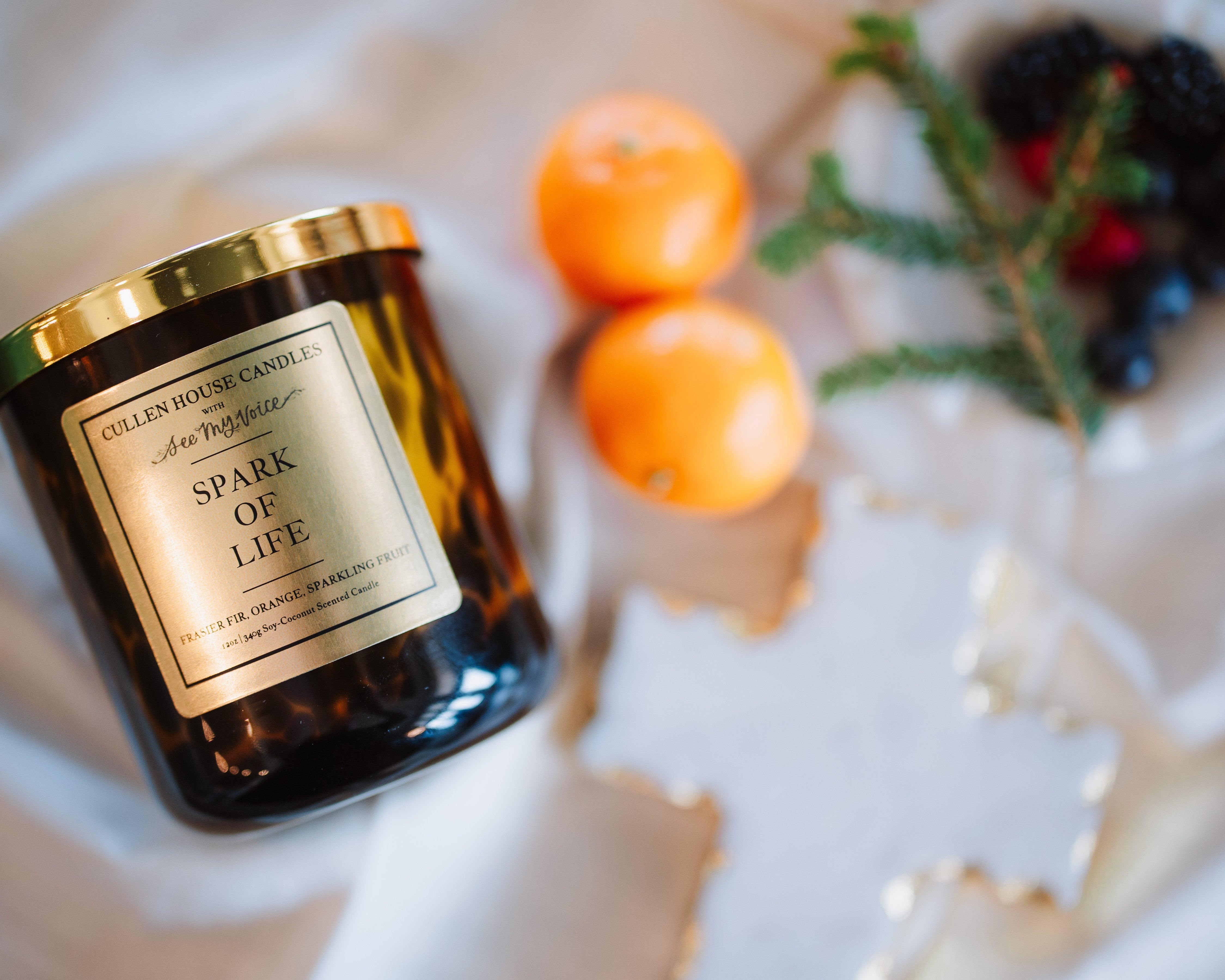 Spark of Life (Cullen House Candles x See My Voice Media)