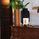 Decorative setting with a plant, vase, and candle on a wooden surface.
