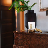 Decorative setting with a plant, vase, and candle on a wooden surface.