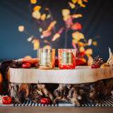 Cozy Hearth Duo
