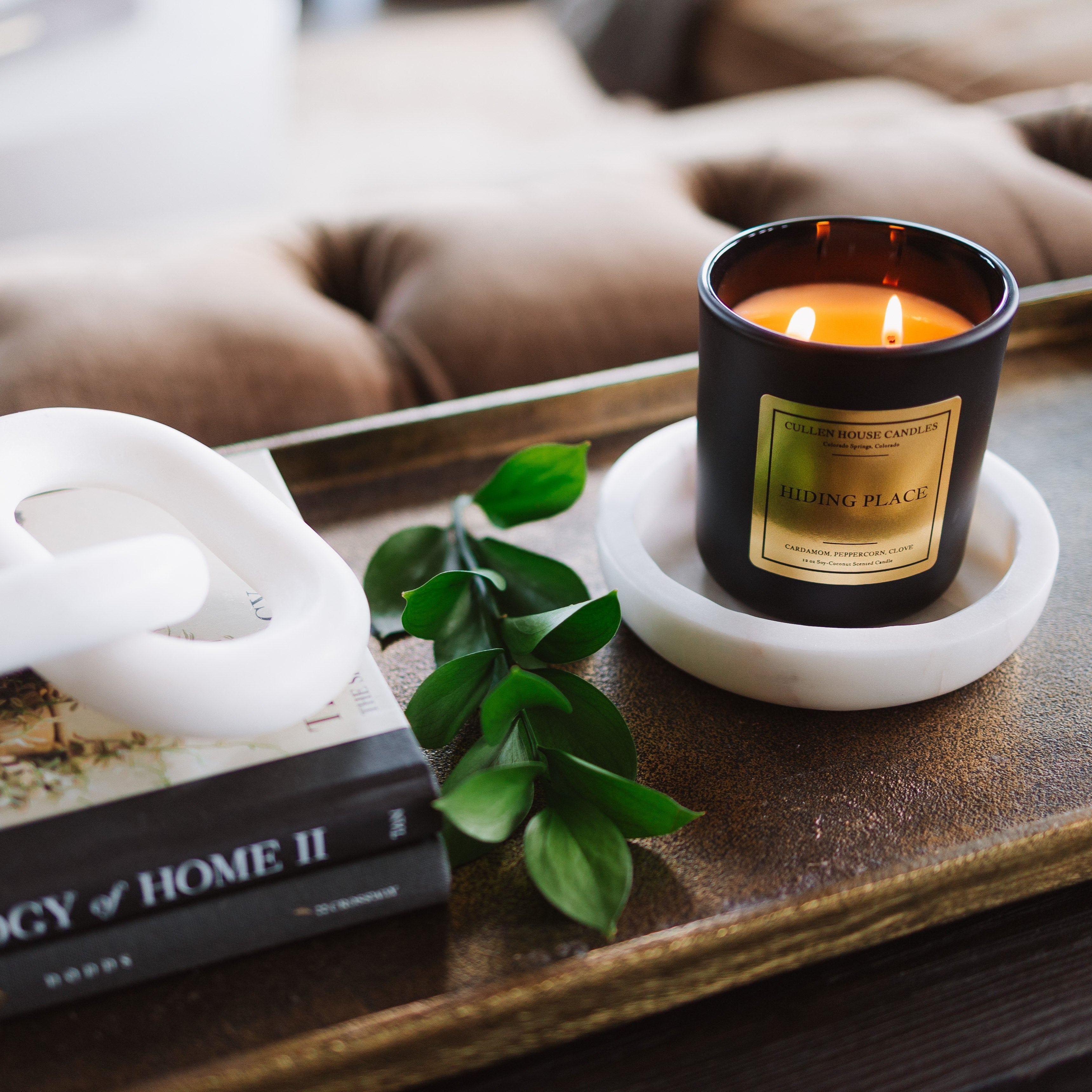 Candle on a coaster with books and a plant on a tray, against a couch background