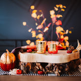 Cozy Hearth Duo