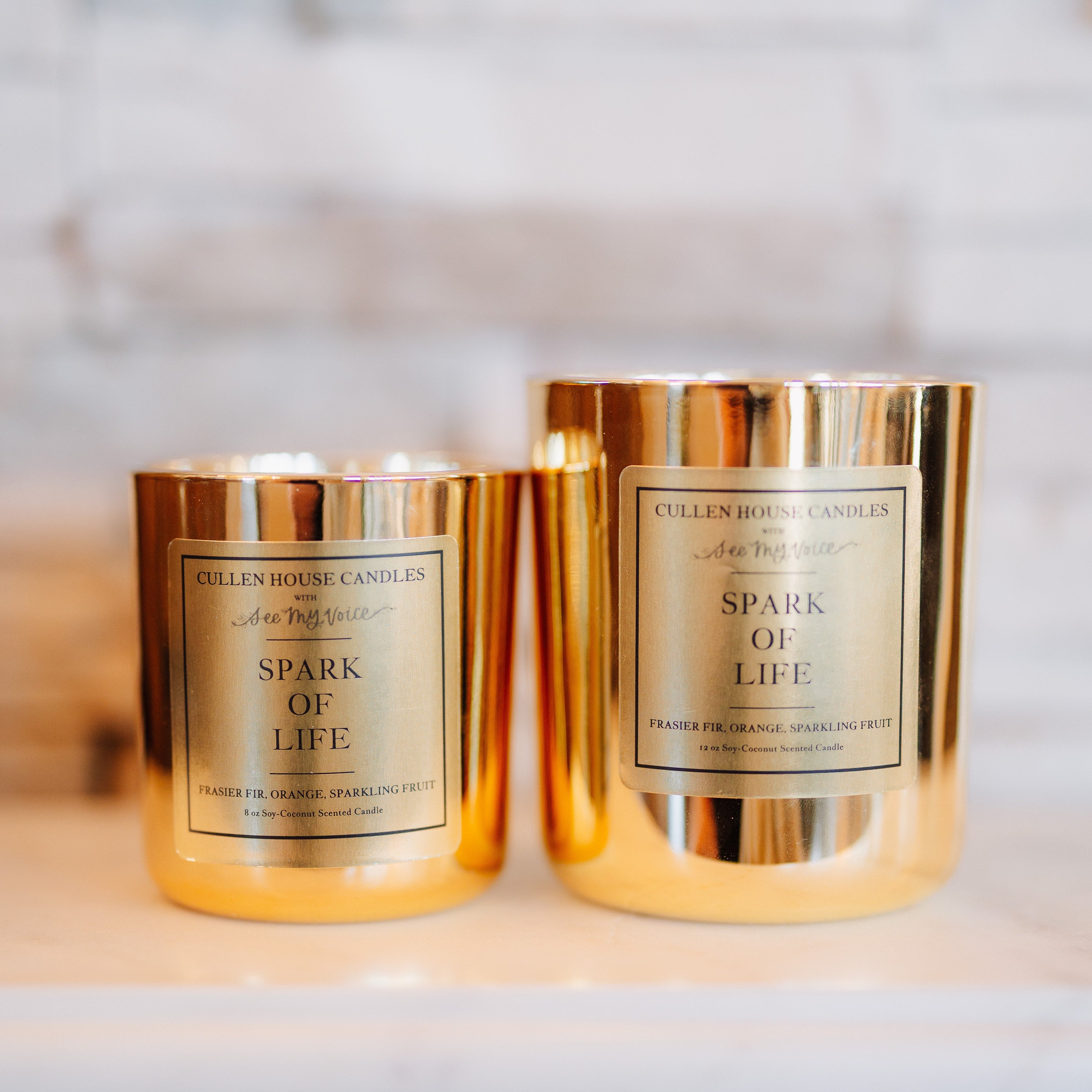 Spark of Life (Cullen House Candles x See My Voice Media)