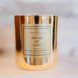 Spark of Life (Cullen House Candles x See My Voice Media)