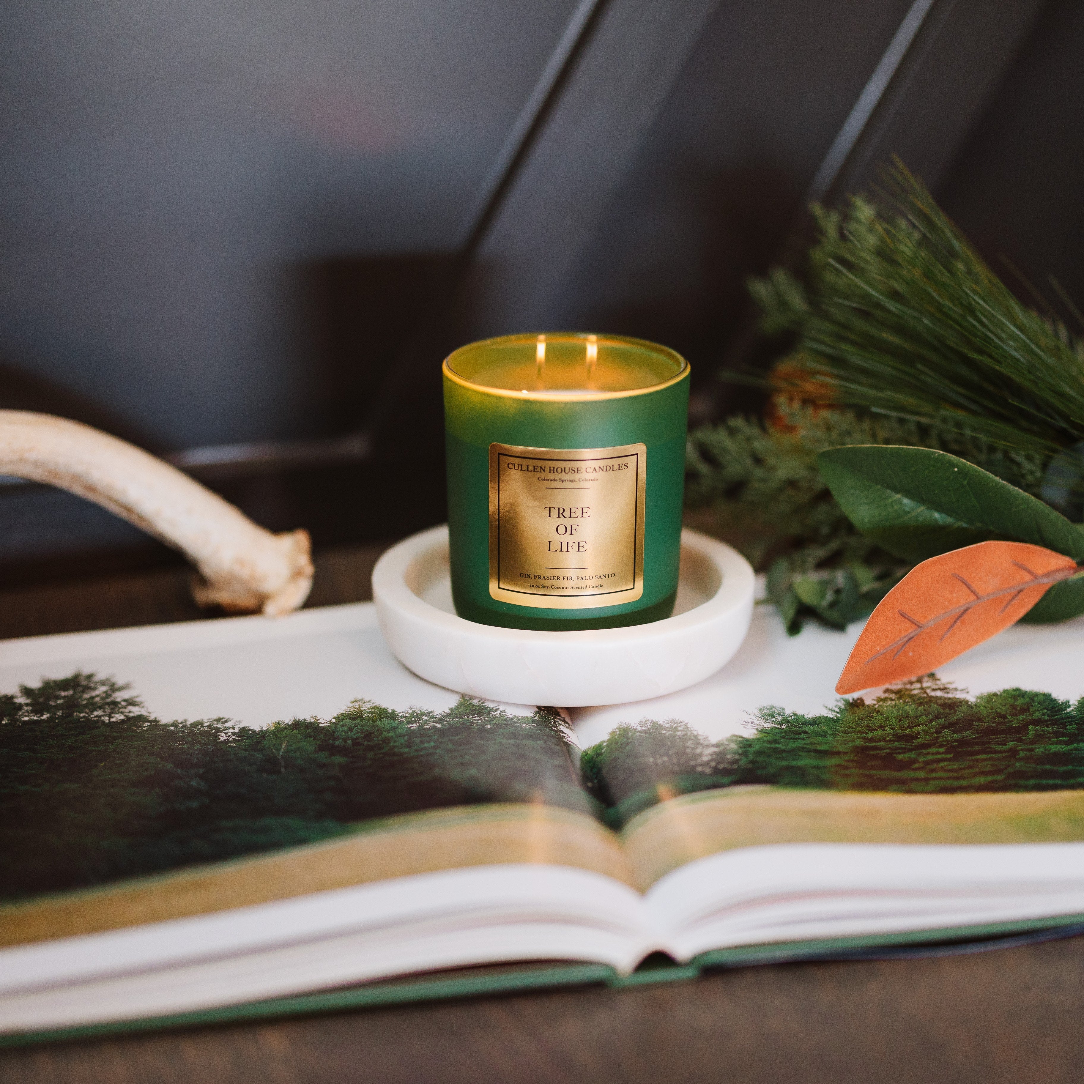 Candle with green and gold design on a book with nature-themed pages