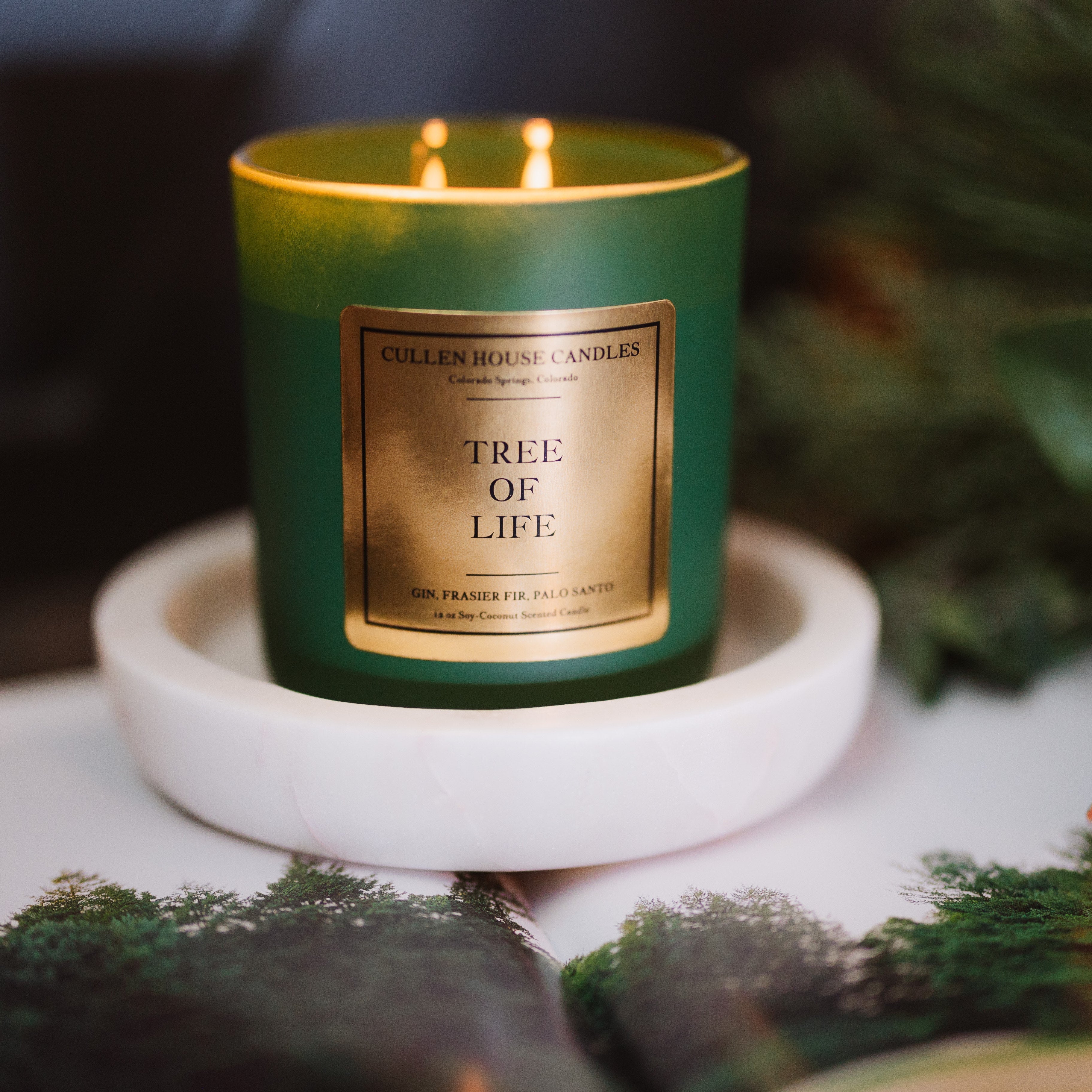 Green candle labeled 'Tree of Life' on a marble coaster with a blurred natural background