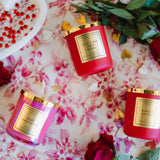 Seal Upon Your Heart